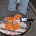 IMG_0204